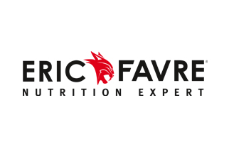 Eric Favre Logo